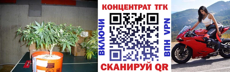 закладки  Спасск-Рязанский  ТГК Wax 